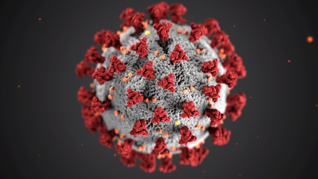 COVID-19 Severe Acute Respiratory Syndrome coronavirus 2 (SARS-CoV-2)