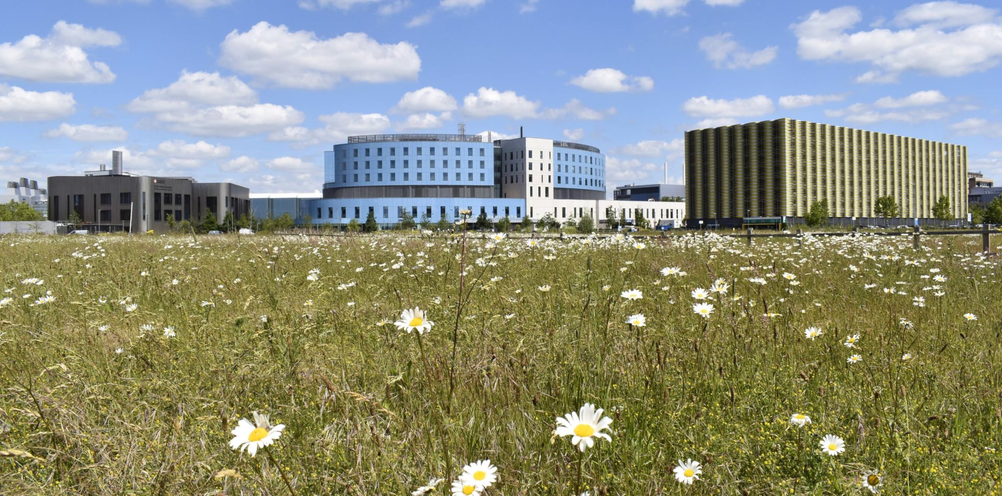 Campus Overview