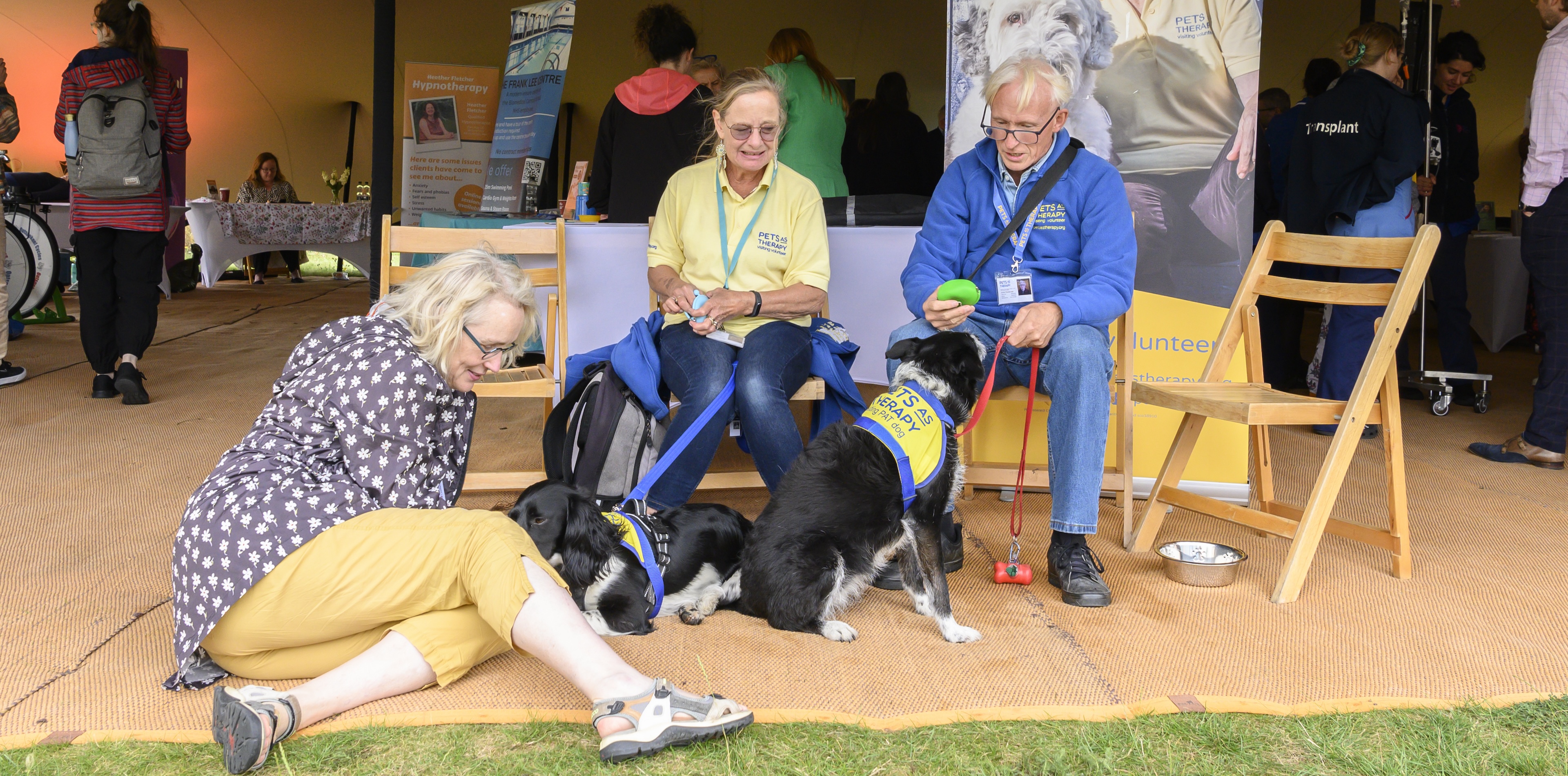 PAT dogs at the Cambridge Wellness Festival