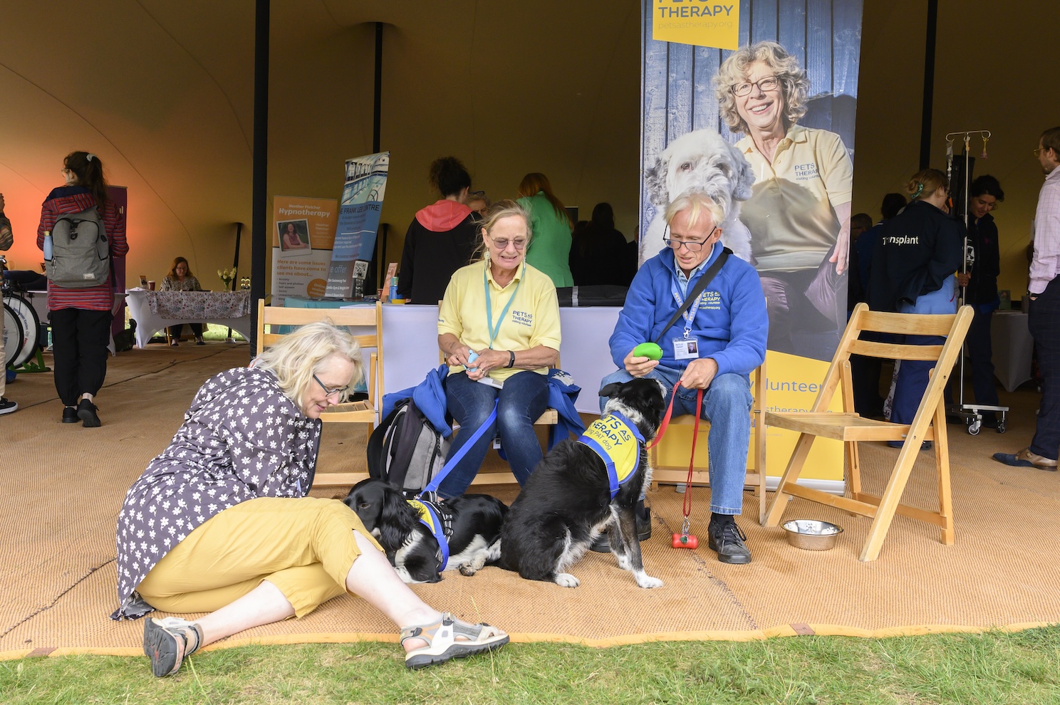 PAT dogs at the Cambridge Wellness Festival