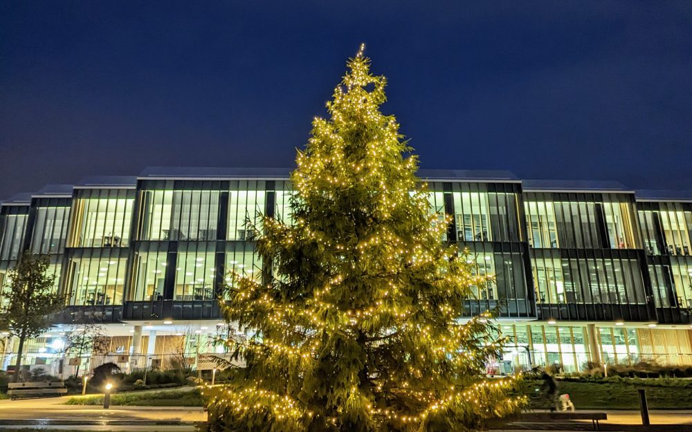 A Christmas tree, lit up in bright yellow lights, in front of a campus building