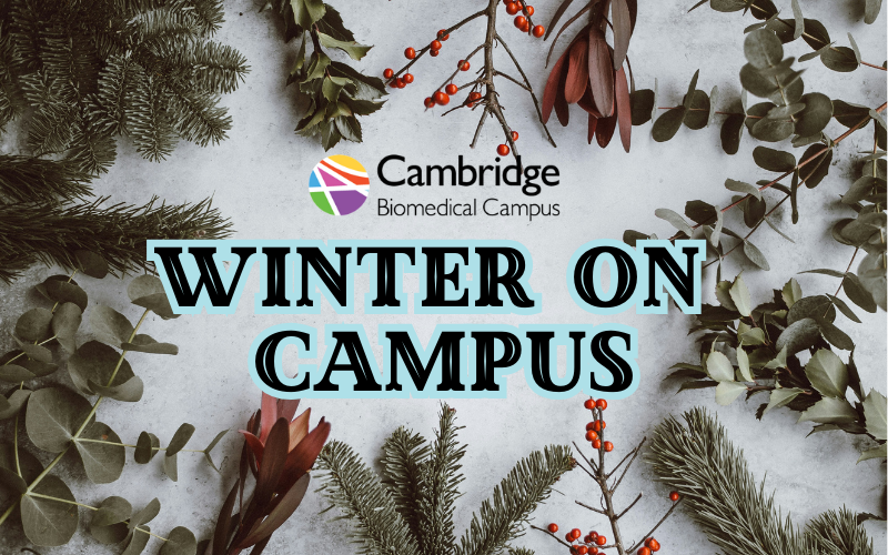 Winter on Campus graphic