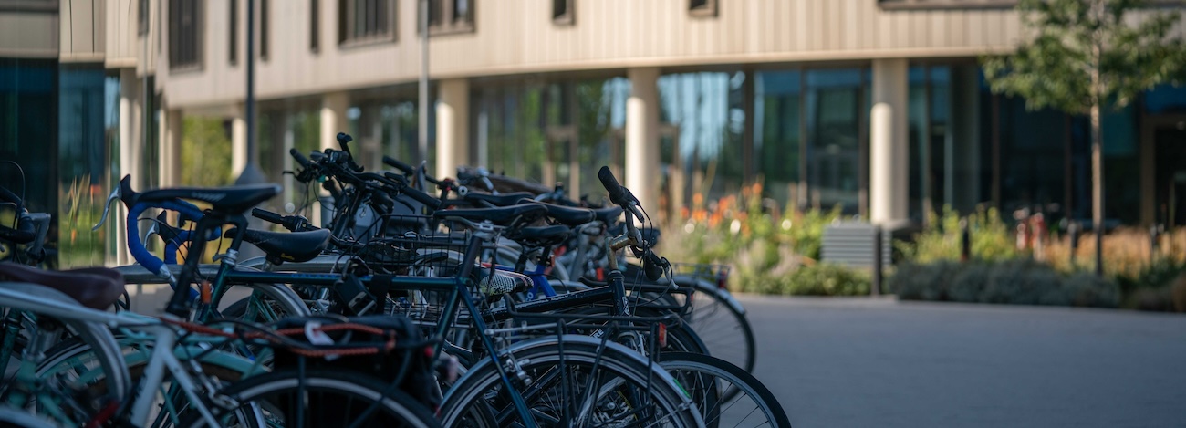 Bicycles outside HLRI letterbox