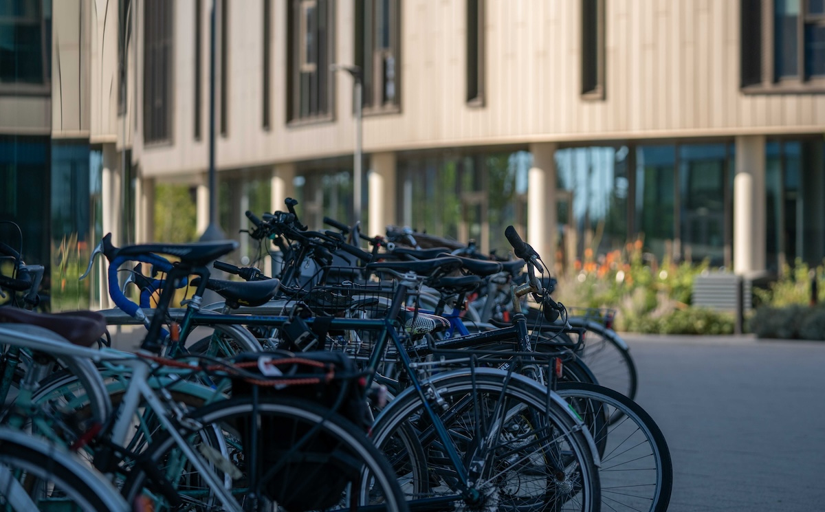 Bicycles outside HLRI