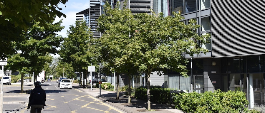 Man cycles down Puddicombe Way