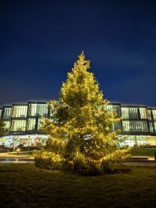 CBC Christmas tree 2 compressed 226x300 - Christmas comes to the Cambridge Biomedical Campus