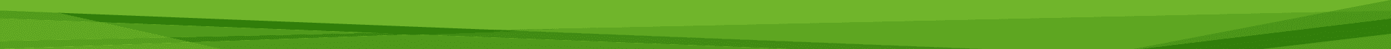 green banner bottom - Amenities